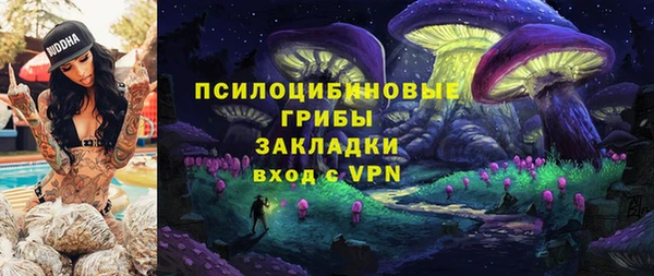 гашик Алзамай