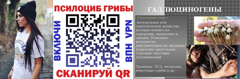 сколько стоит  Шуя  Галлюциногенные грибы MAGIC MUSHROOMS 